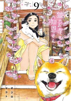 Neko no Otera no Chion-san แมวศาลเจ้าของชิออน
