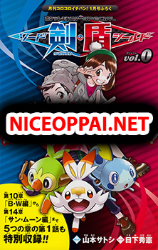 Pokemon SPECIAL Sword and Shield