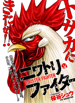 Rooster Fighter ป๋าโต้งชนยับ