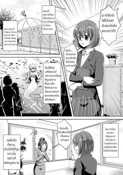 Aru Ningyo no Omoide