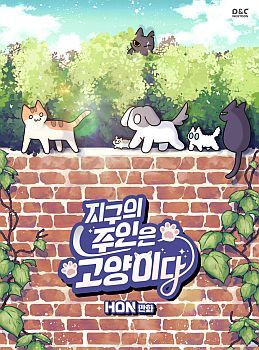 Cats Own The World