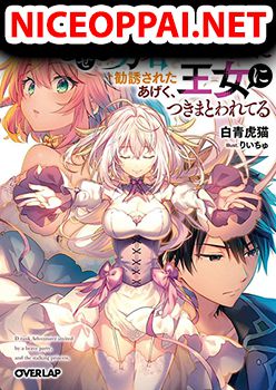 D-kyuu Boukensha no Ore, Naze ka Yuusha Party ni Kanyuu Sareta Ageku, Oujo ni Tsukima Towareteru