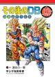 Dragon Ball After