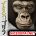 อ่านการ์ตูน Ikemen Sugiru Gorilla