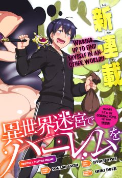 Isekai Meikyuu de Harem o