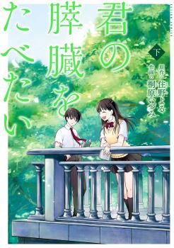 Kimi no Suizou wo Tabetai