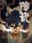 อ่านการ์ตูน Martial Legacy