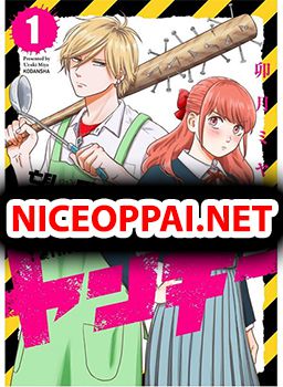 Mochizuki-san ka no Yankee