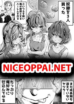 Training Slaves to make a Harem