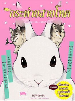 Usagi is Justice