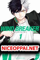 Wind Breaker (Nii Satoru) - Action, Manga, School Life, Shounen