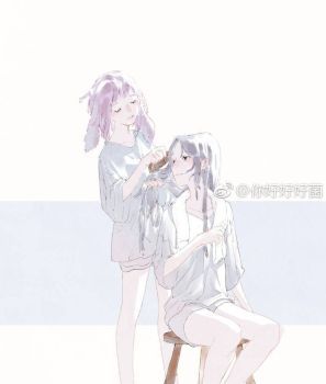 Wolf x Rabbit