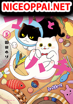 Tsureneko - Maruru to Hachi คู่หูแมวเหมียว มารุรุและฮาจิ