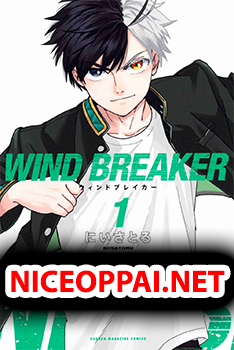 Wind Breaker (Nii Satoru)